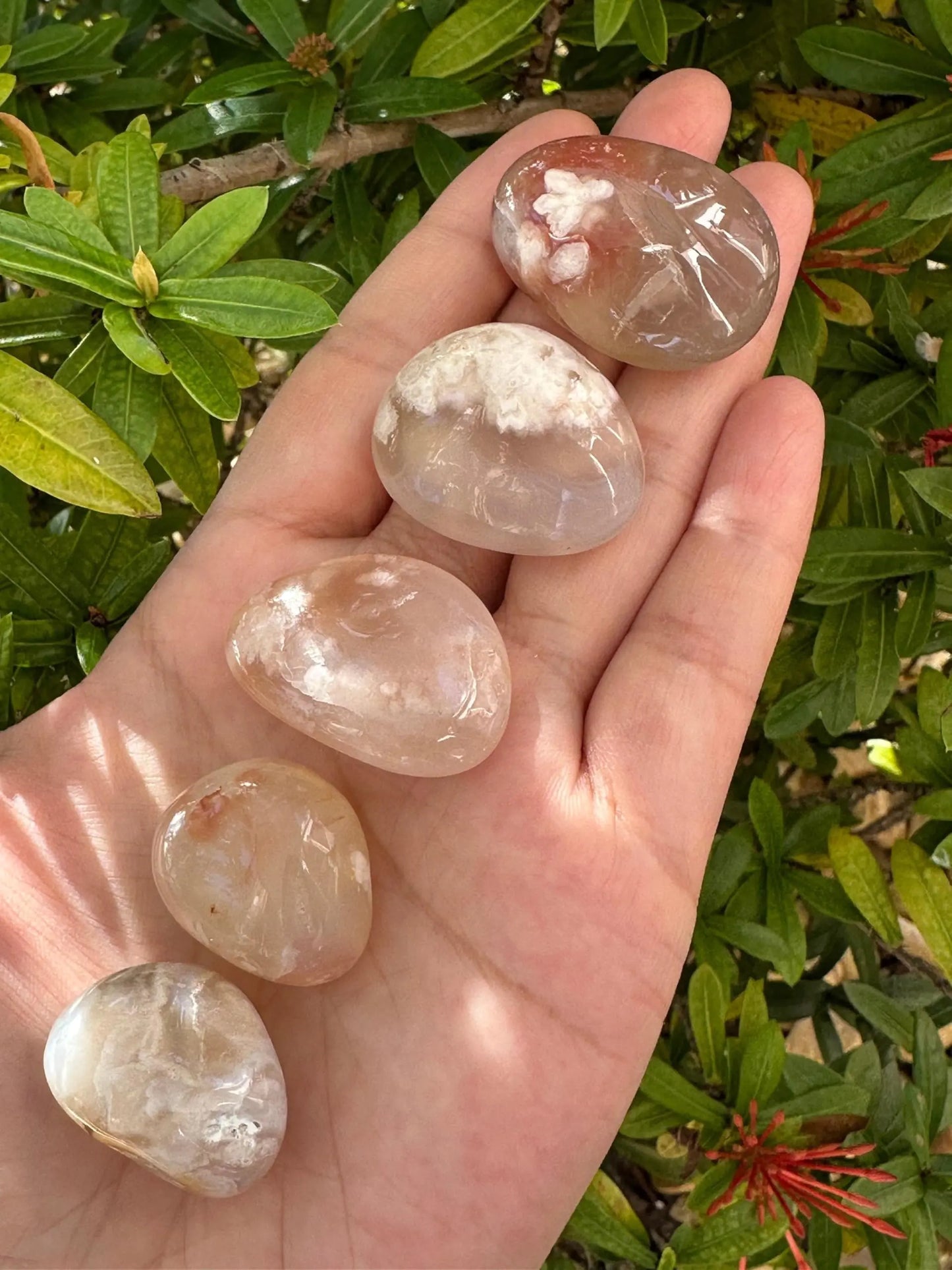 5 Pcs Bloodstone Tumbled Stones