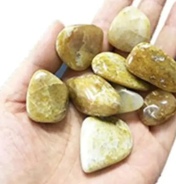 Crystal Polished Stone | Reiki Infused
