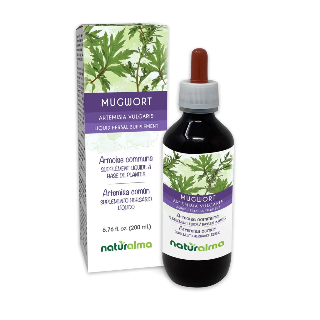Mugwort (Artemisia vulgaris) herb with Flowers Alcohol-Free Tincture