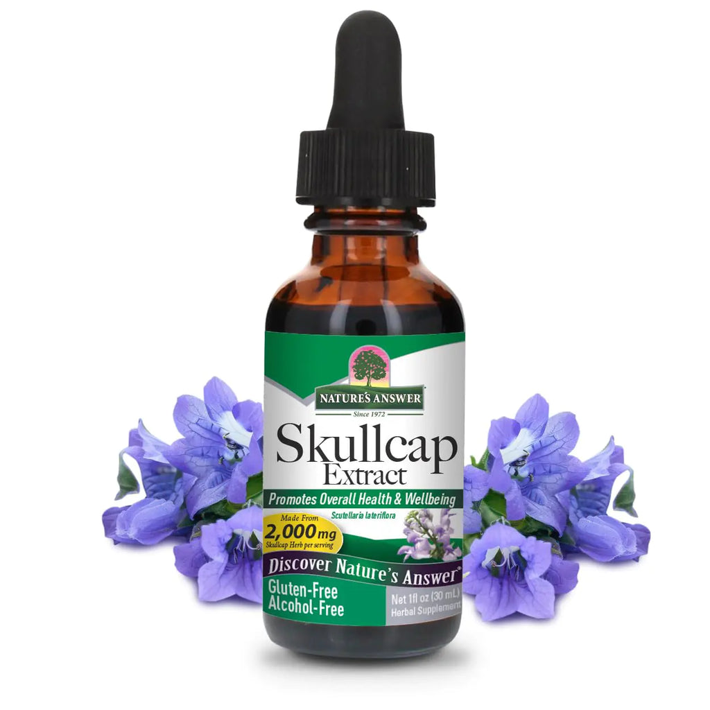 Natures Answer Alcohol-Free Skullcap Herb Extract Supplement 1-Fluid Ounce Liquid | Natural Calming Supplement | Nervous System Support