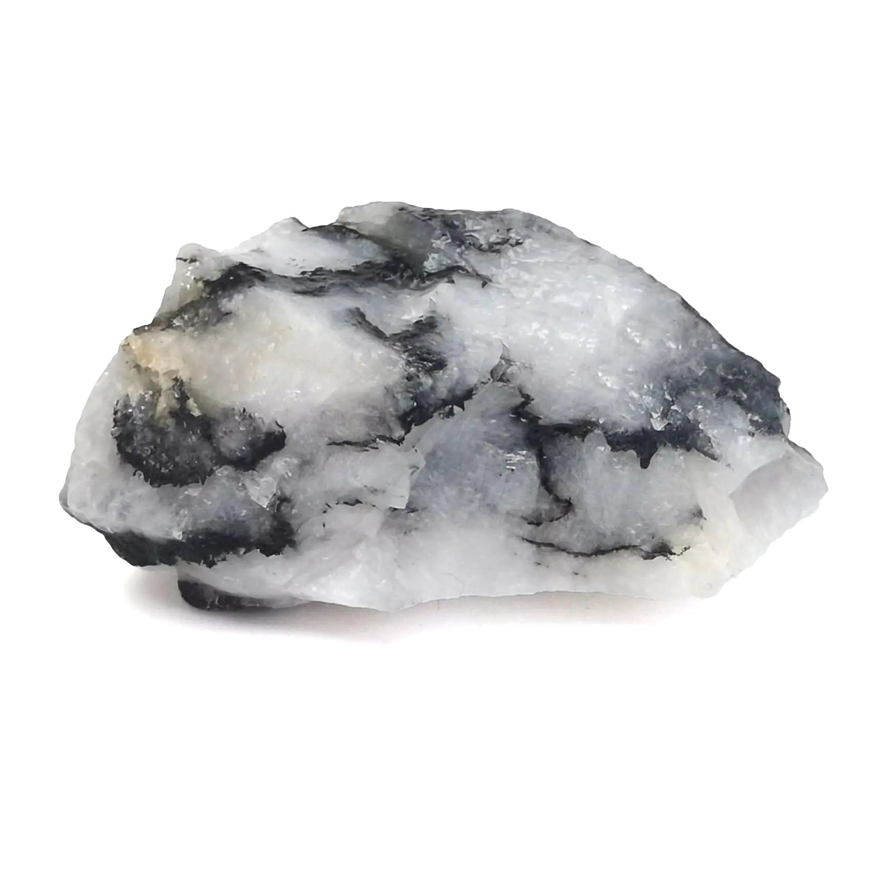 Black Rutilated Quartz Raw Crystals  1.2-2"