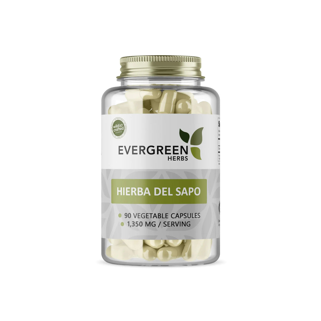 Evergreen Herbs Hierba Del Sapo Capsules Wild Crafted Mexican Herbs - Tamper Proof Seal to Ensure Freshness