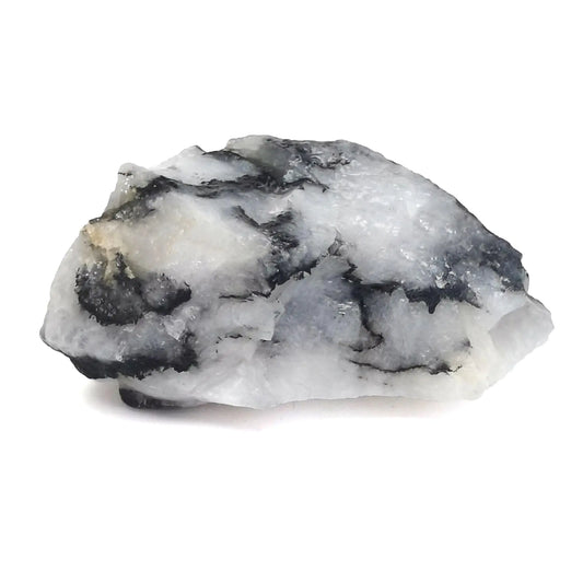 Black Rutilated Quartz Raw Crystals  1.2-2"