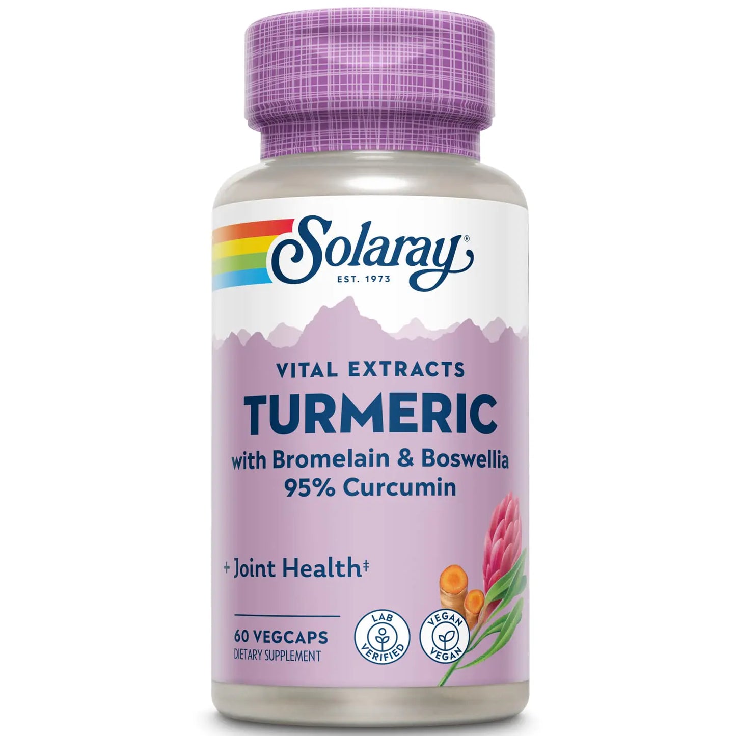 Solaray - Guaranteed Potency Turmeric Root Extract 200 mg | 60 Capsules
