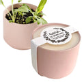 The Growing Candle - from Flame to Flower Rosemary & Sage