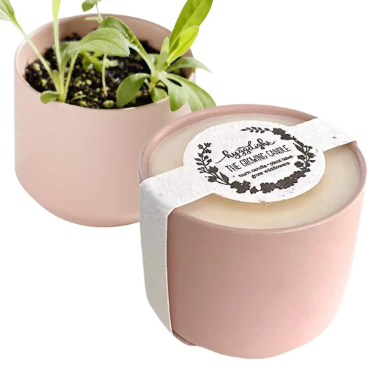 The Growing Candle - from Flame to Flower Rosemary & Sage