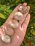 5 Pcs Bloodstone Tumbled Stones